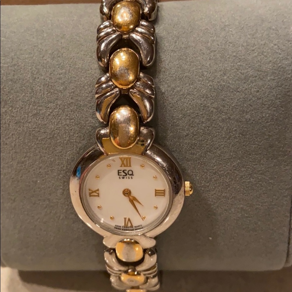 ESQ Swiss Watch
